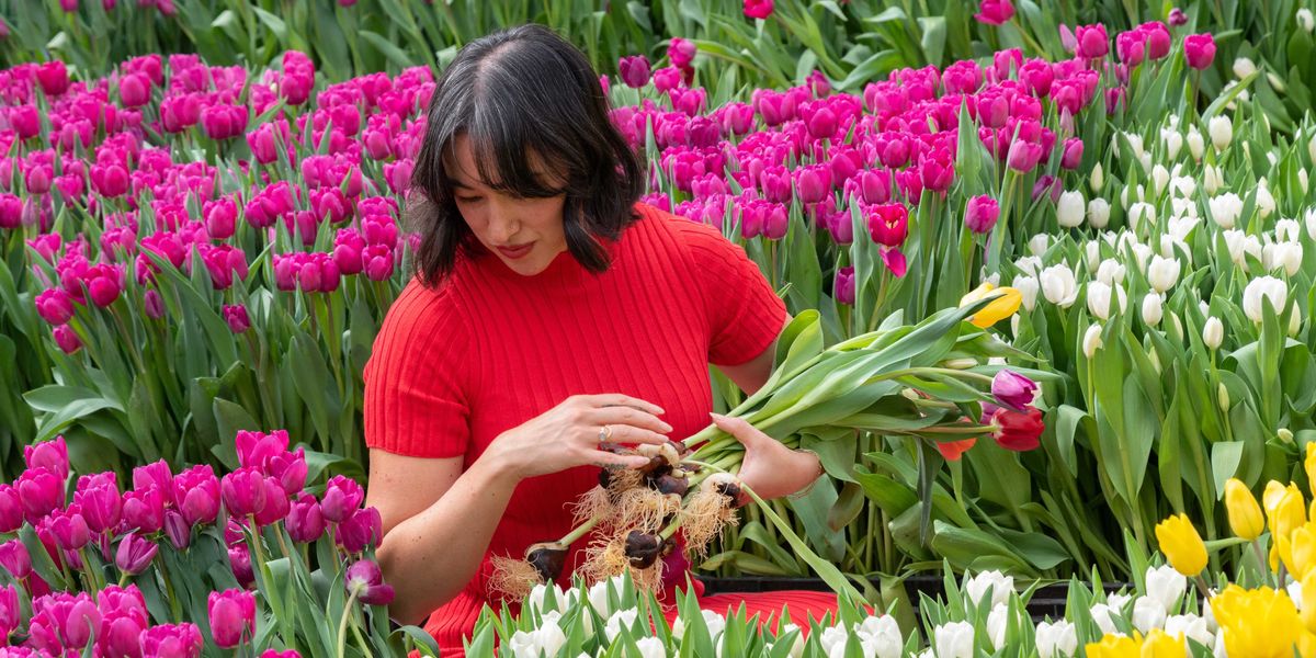 31 Fun Things to Do This Week (3.16.26)