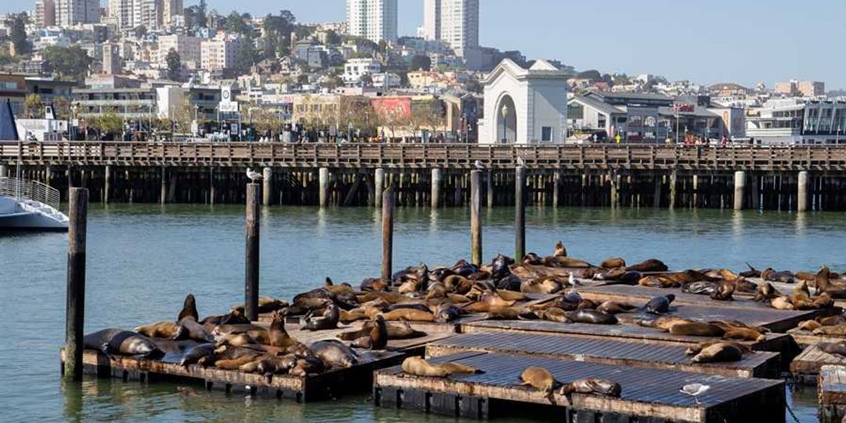 The Big Cheap 2026: 49 Things to Eat, Do + See in SF for Under $20