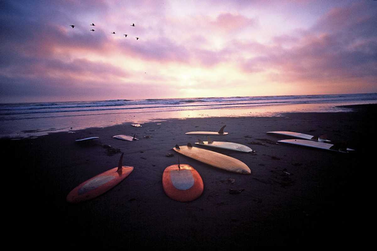 Surfboards Get A Closer Look at Sonoma Valley Museum of Art