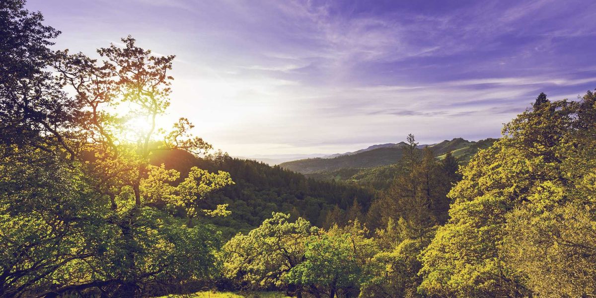 Follow the footsteps of great NorCal writers on this literary road trip through the Sonoma Valley.