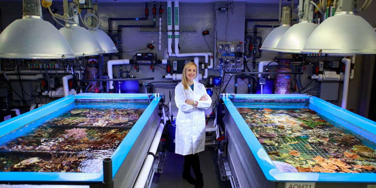 A woman-led team of SF researchers created a blueprint for coral regenerationand you can see the results.