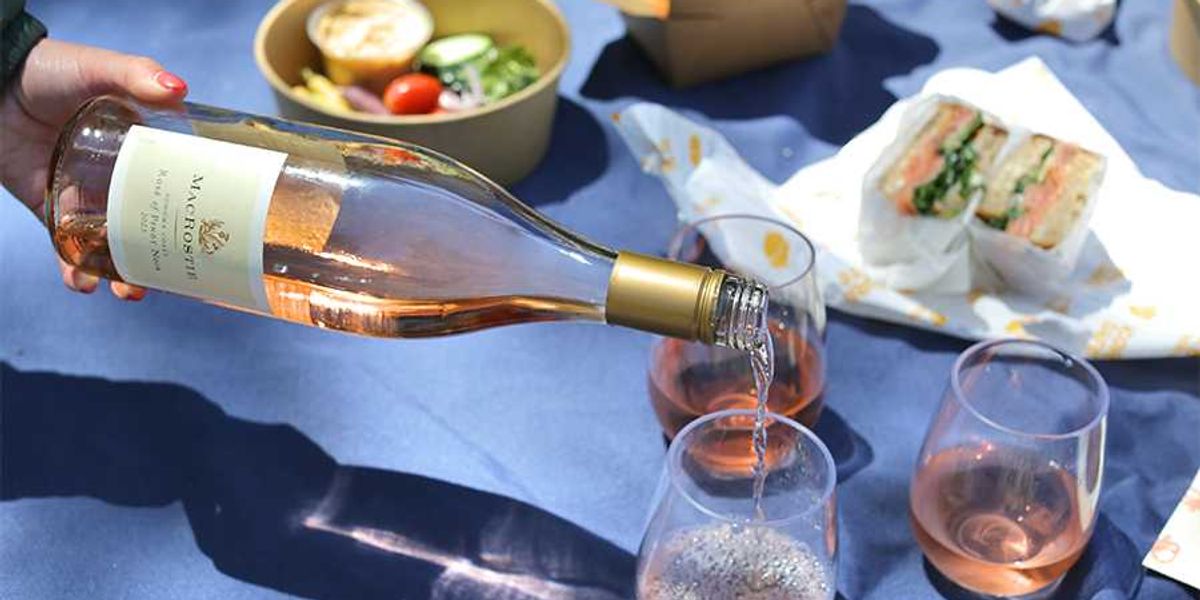 The time is ripe to savor grape harvest season in Healdsburg.