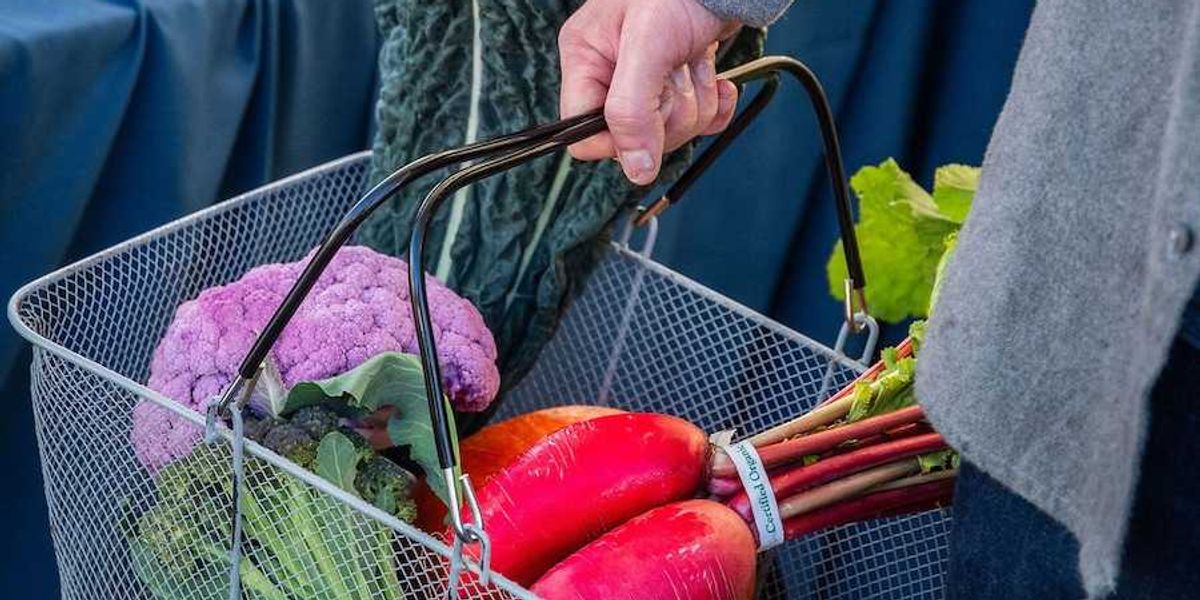 How to Explore the Farmers Markets of Napa Valley