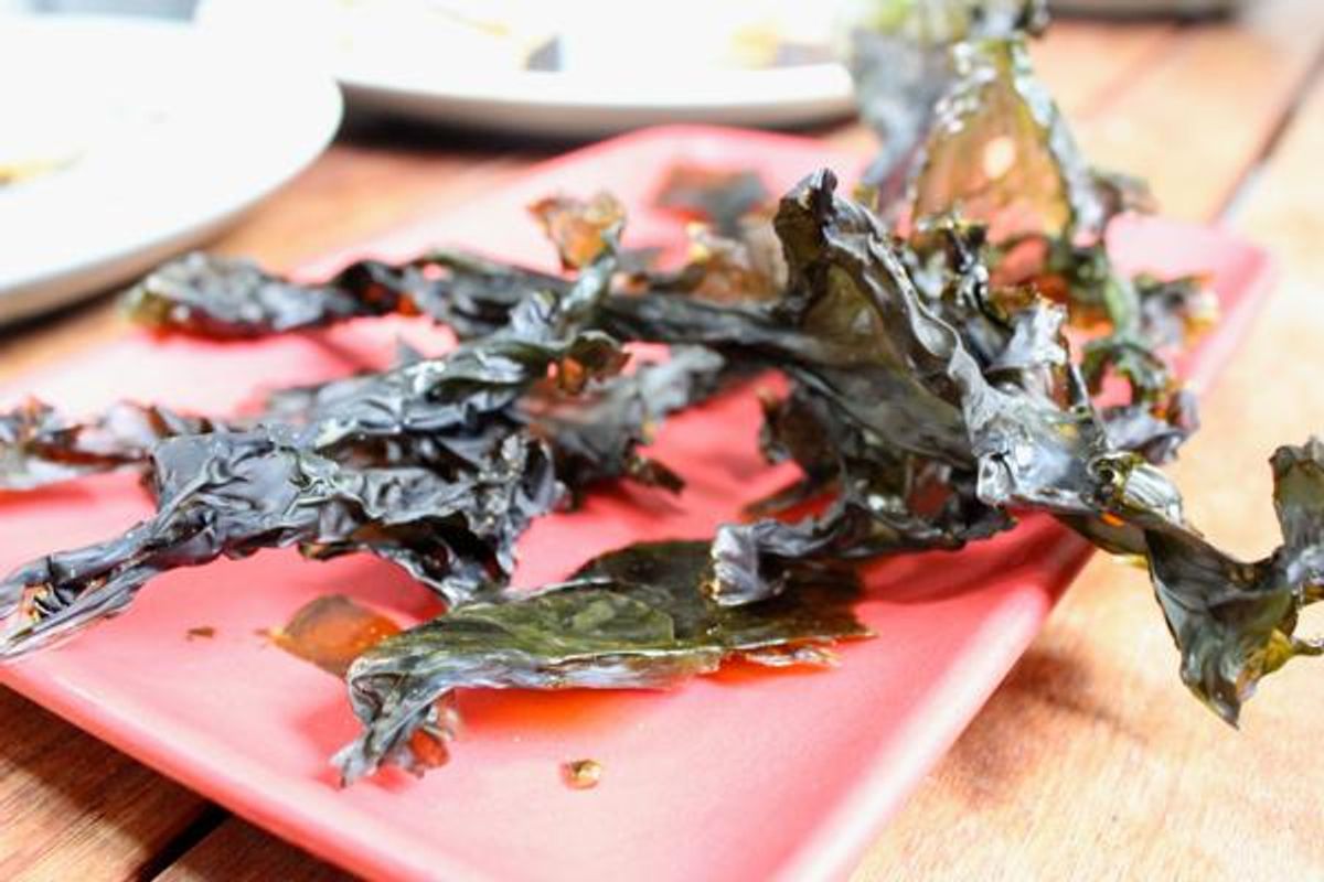 How to Forage for Seaweed + Mussels in the San Francisco Bay