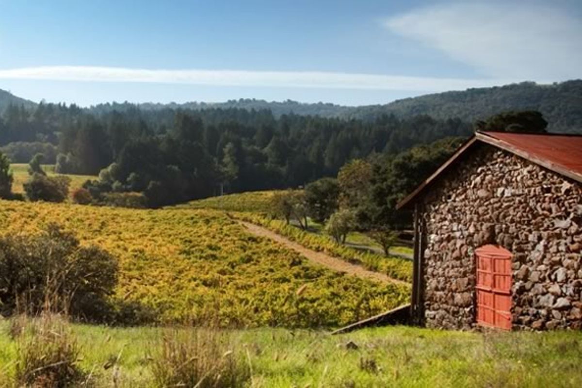 A Jazz Hands-Worthy Weekend in the Sonoma Valley