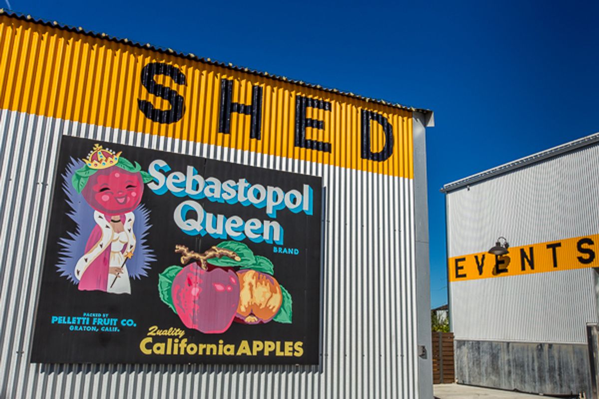 Autumn in Sebastopol: Your Guide to Apple Picking, Craft Cider, Pie + More