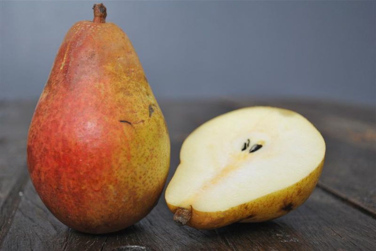 What to Buy at the Ferry Building Farmers Market in October