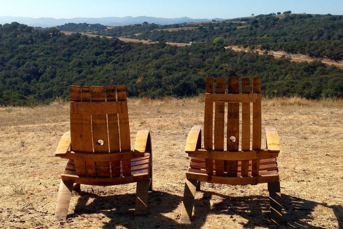 Crushing the Central Coast: A Guide to Harvest in Paso Robles