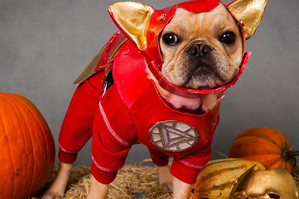 Swan Lake, Friendly Clowns, Pet Pride Day + More Not-So-Spooky Events