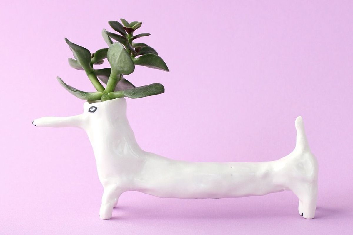 We're Obsessed With Eleonor Boström's Functional Ceramic Dogs