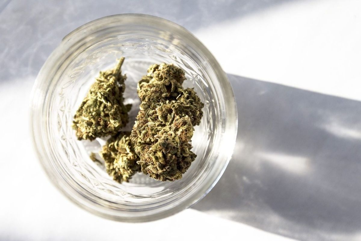 Our Favorite Marijuana Strains, Pre-Rolls + Growers in Northern California