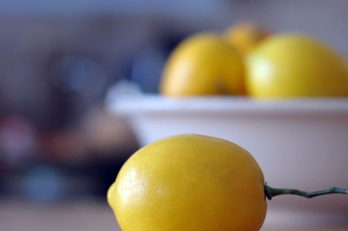 What to Buy at the Ferry Building Farmers Market in December