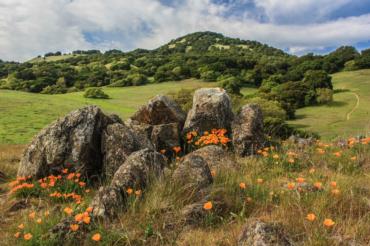 Try this Lush Hike on Burdell Mountain