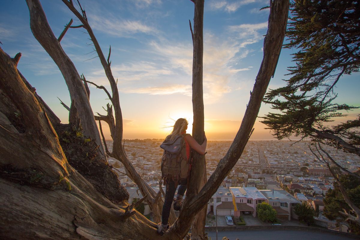 Where to Go for a Jaw-Dropping View of San Francisco