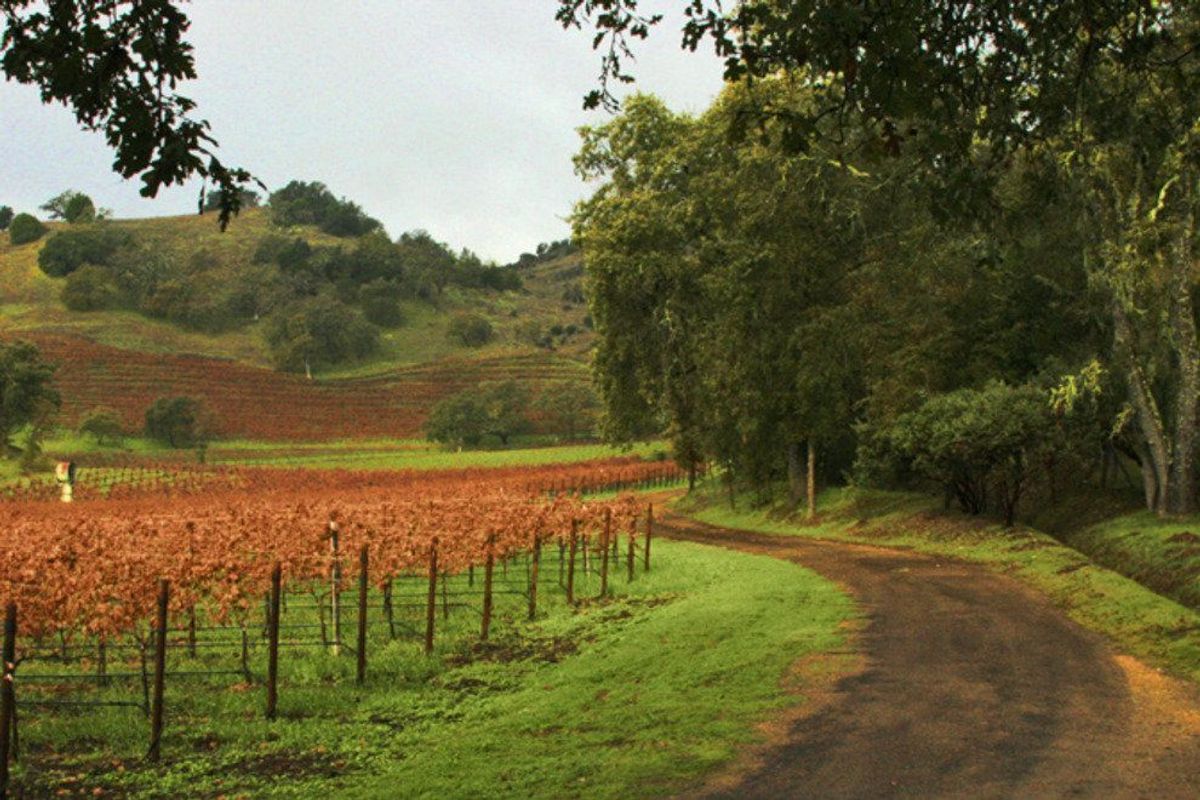 6 Great Bike Rides in Napa Valley