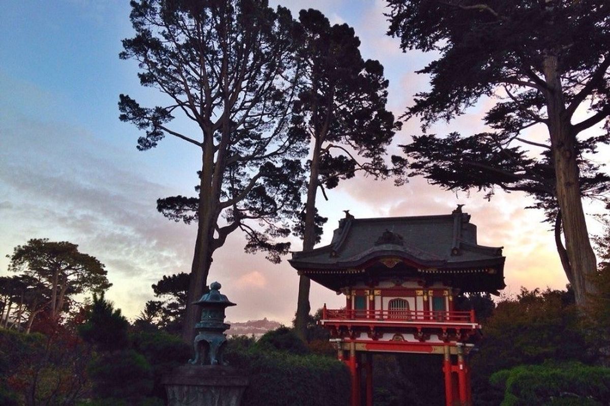 Find Zen at These Japanese Gardens Around the Bay Area