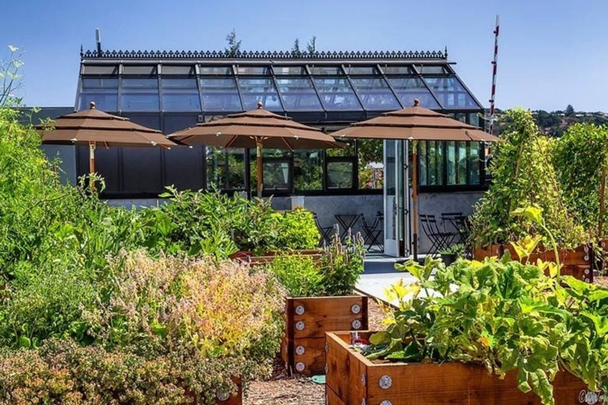 5 Tiny, Boutique Wineries to Check Out This Weekend