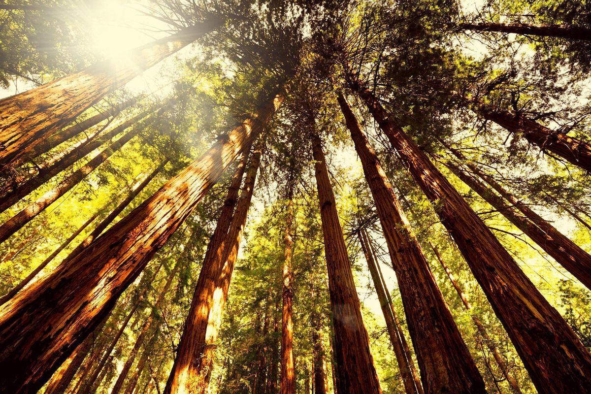 The National Parks Are Offering 4 Free Entrance Days in April