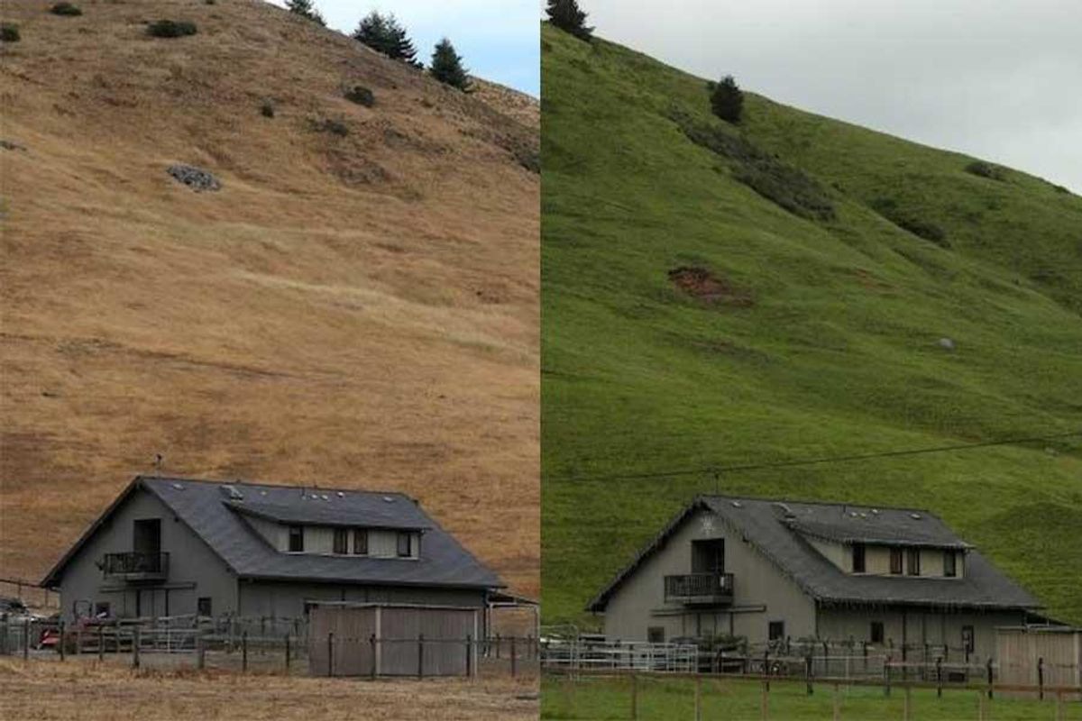 Green Acres: Photos of the Bay Area Before and After the Drought