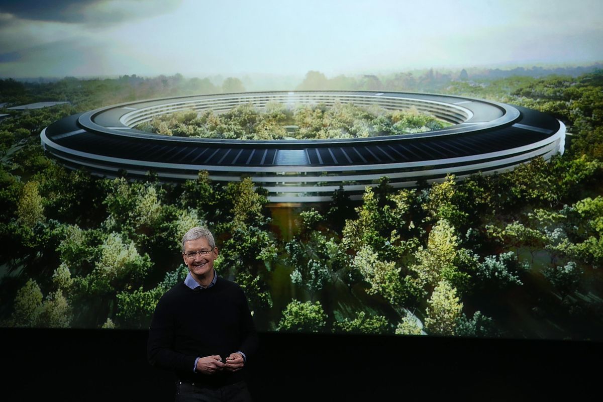 Green With Office Envy: 9,000 Trees Will (Eventually) Shade Apple's New Cupertino HQ