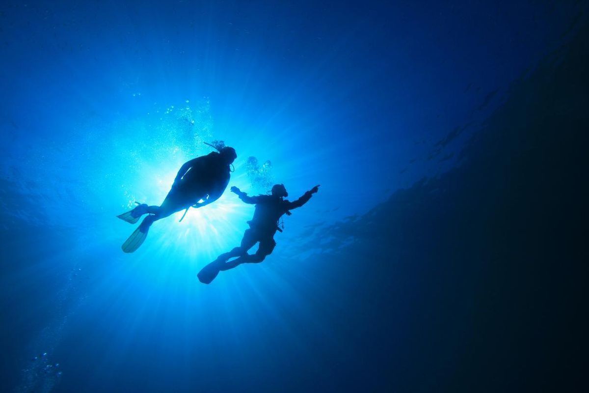 Dive in: Where to Get Scuba Certified in the Bay Area