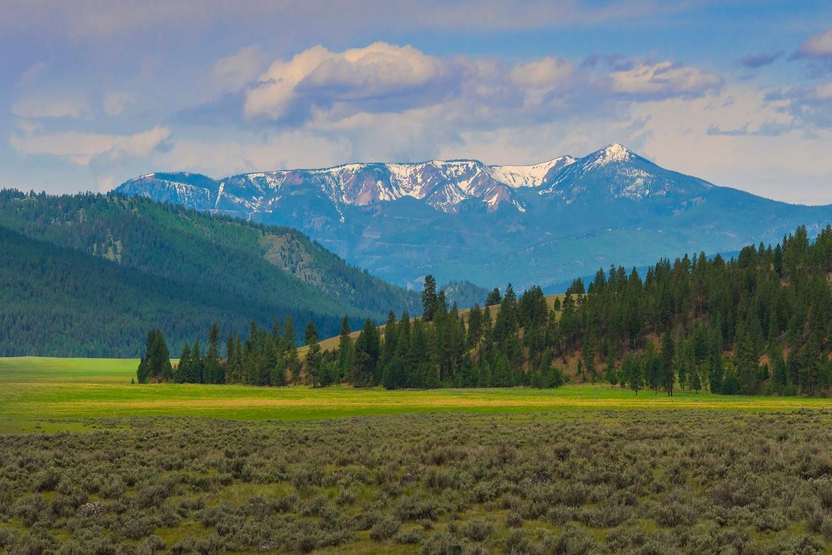 The Montana Rx: This dude ranch is the antidote for FOMO, city life and wimpiness