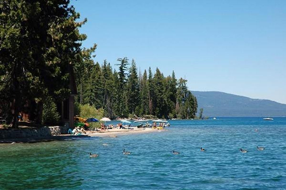 5 Tahoe Campgrounds Near the Water