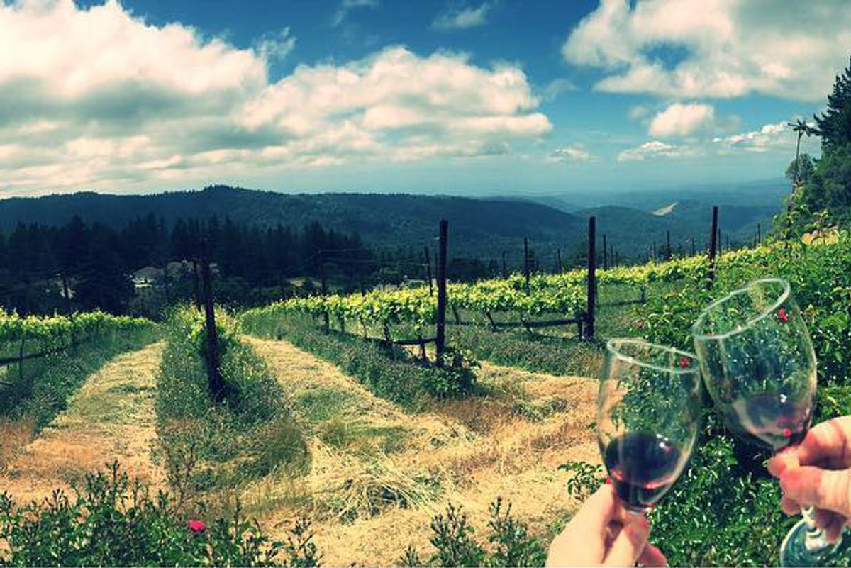 Where to Taste, Eat & Stay in the Santa Cruz Mountains Wine Region