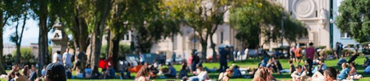 The Complete Guide to 153 San Francisco Public Parks