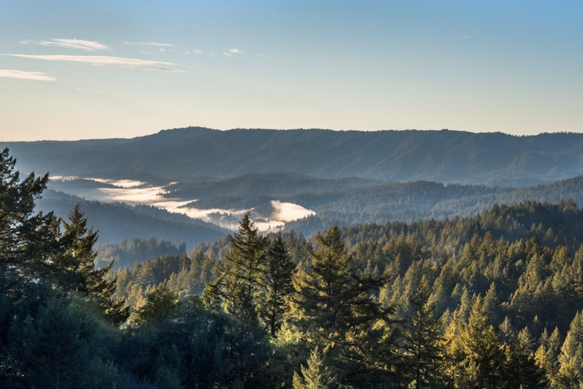 The Bay Area's Best Hikes by Region