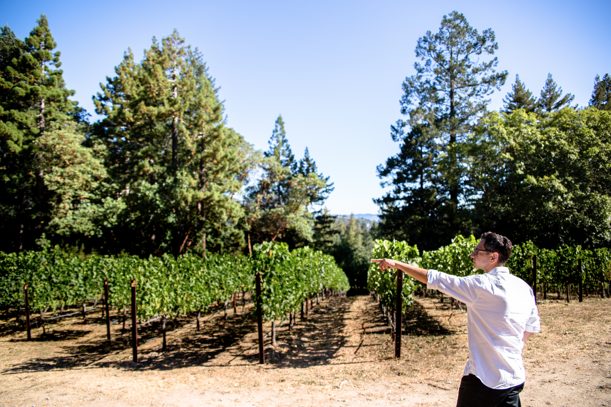 At Ashes & Diamonds winery, punk-loving music vet Kashy Khaledi is disrupting Napa Valley