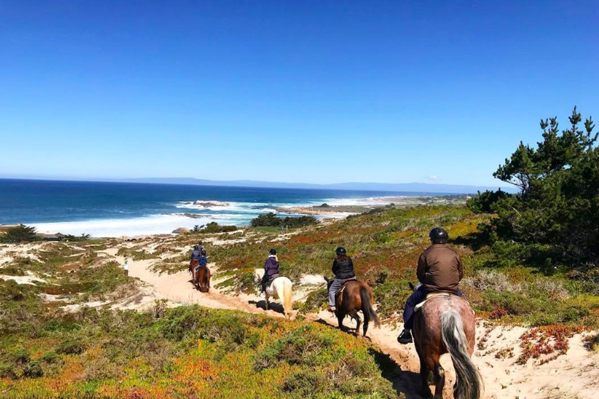 3 Places to Ride Horses on the Beach in Northern California