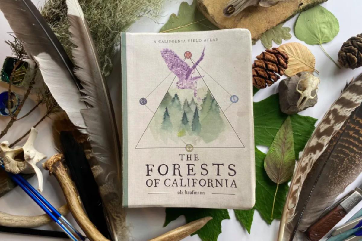 5 Must-Read Fall Books by Bay Area Authors