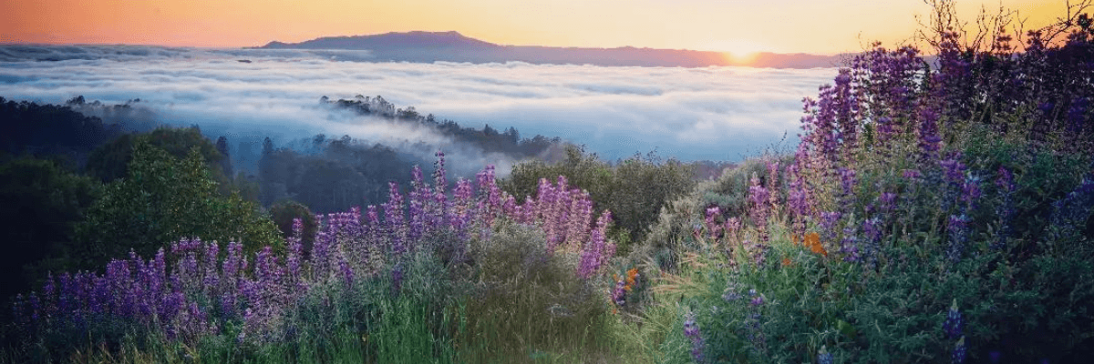 9 Quintessential Hiking Trails, One for Each Bay Area County