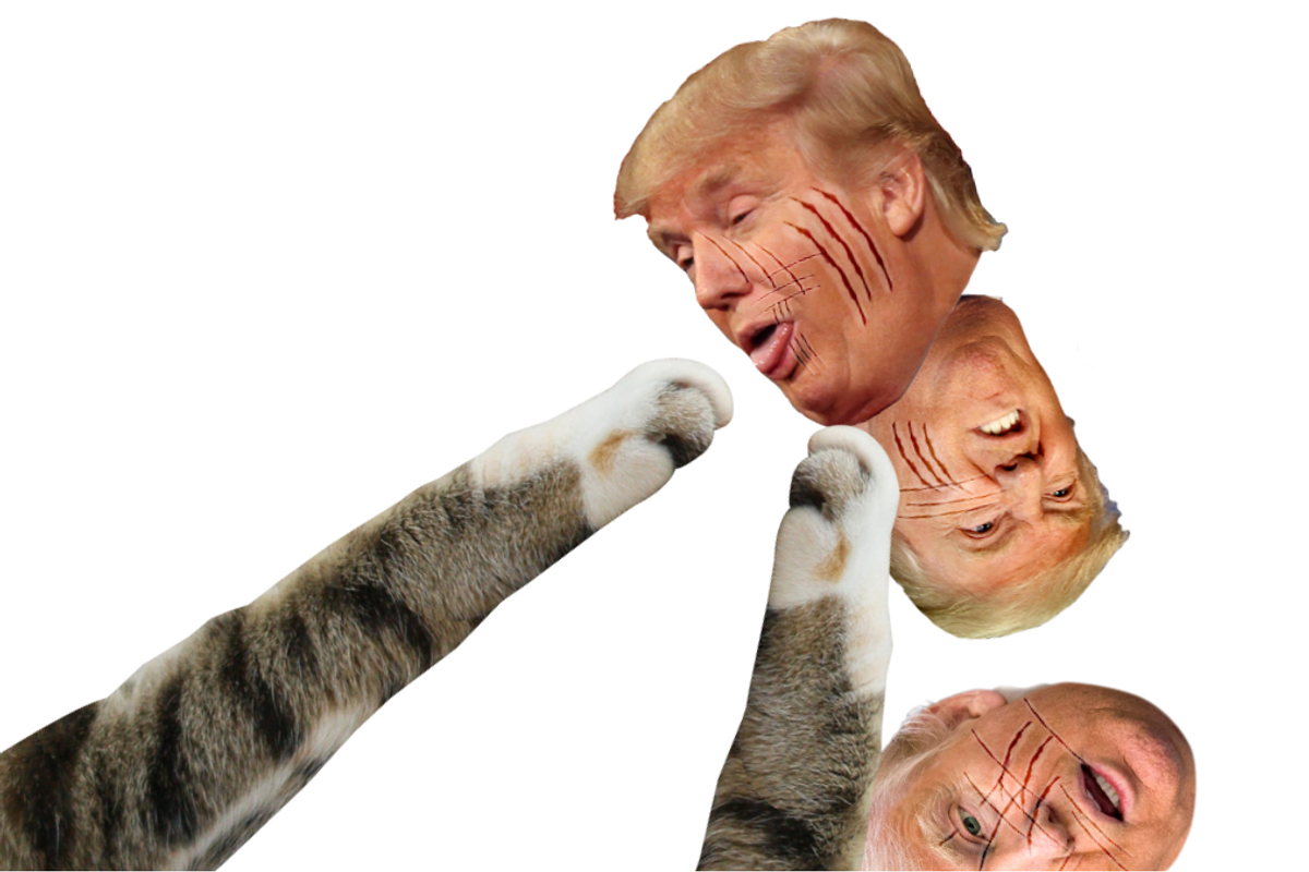 How Catty: SF Teen Slapped With Cease & Desist for Her Website That Lets You Take a Swipe at Trump's Face
