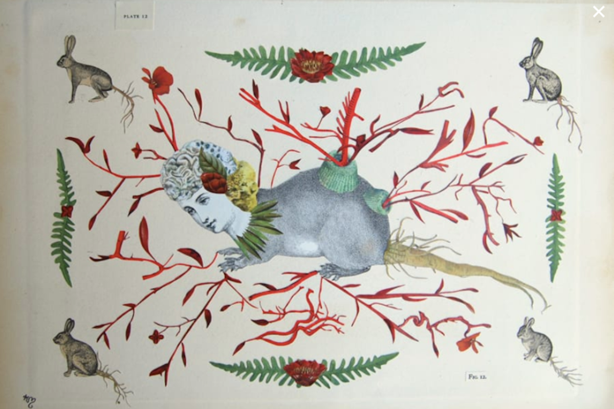 200+ Artists to Open Their Workspaces at East Bay Open Studios This Weekend