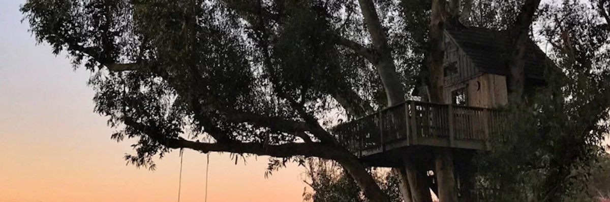 This magical Petaluma treehouse is a weekend must-stay