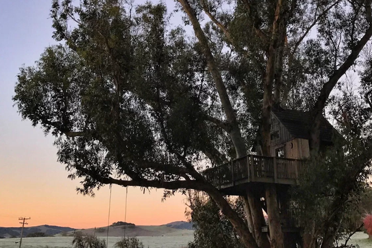 This magical Petaluma treehouse is a weekend must-stay