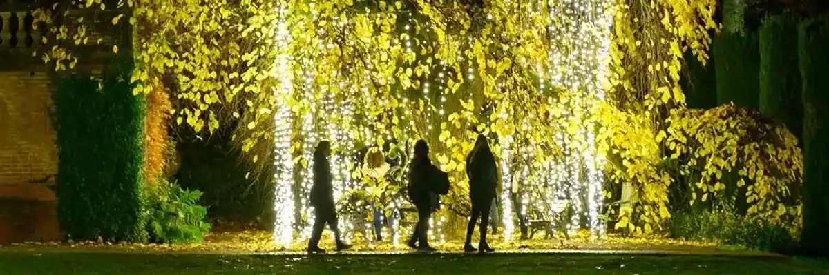 27 Fun Things to Do This Week (11.17.25)