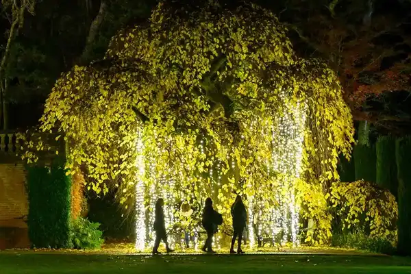 27 Fun Things to Do This Week (11.17.25)