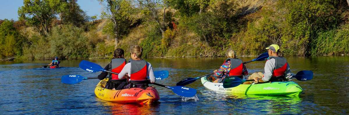 kayakers on a calm river
