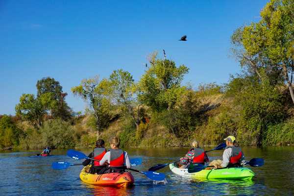 kayakers on a calm river