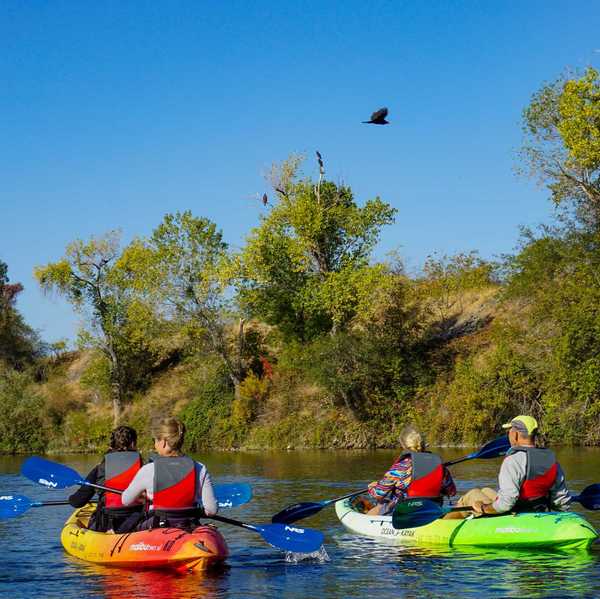 kayakers on a calm river