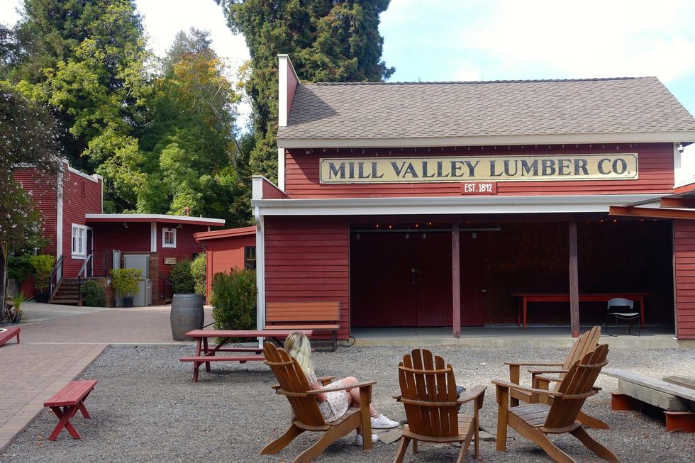 A Modern Guide to Mill Valley Scenic Trails, Renowned Restaurants + Funky Shops 7x7 Bay Area
