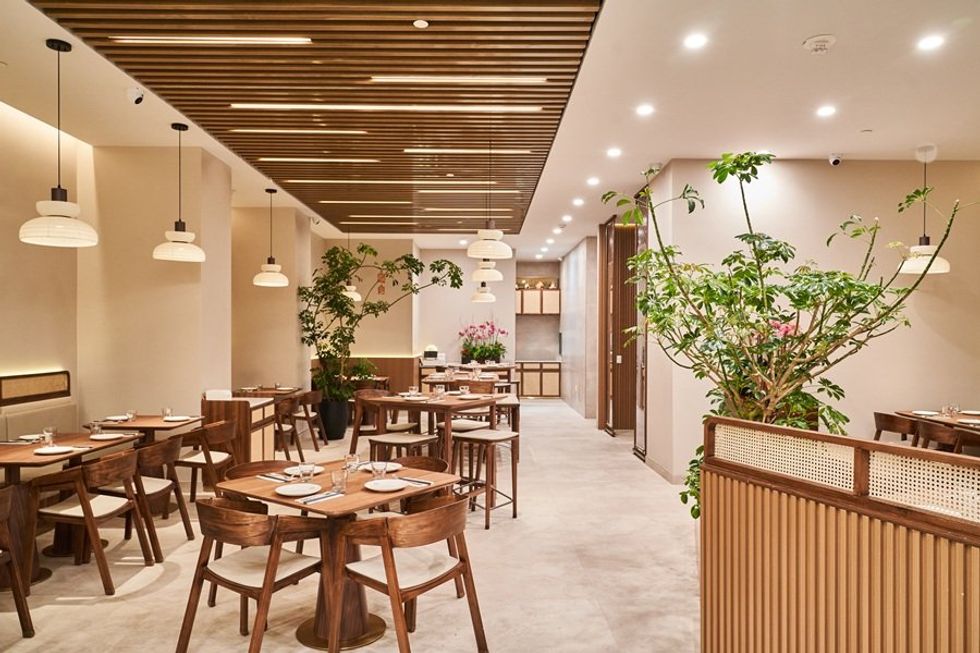 Modern, elegant restaurant with wooden decor and indoor plants.