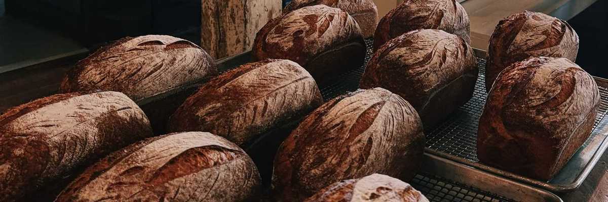multiple loaves of freshly baked artisan bread on cooling racks