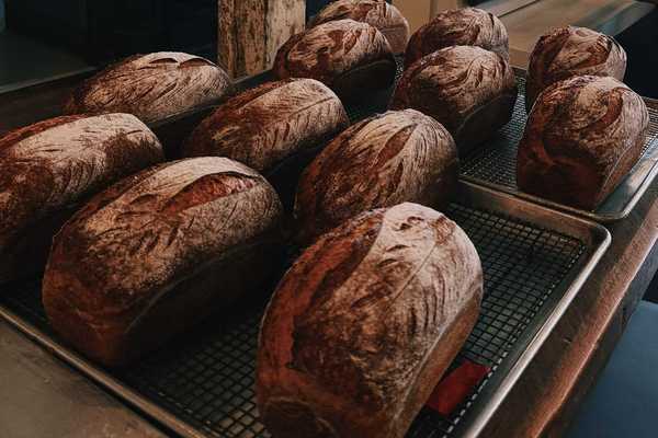 multiple loaves of freshly baked artisan bread on cooling racks