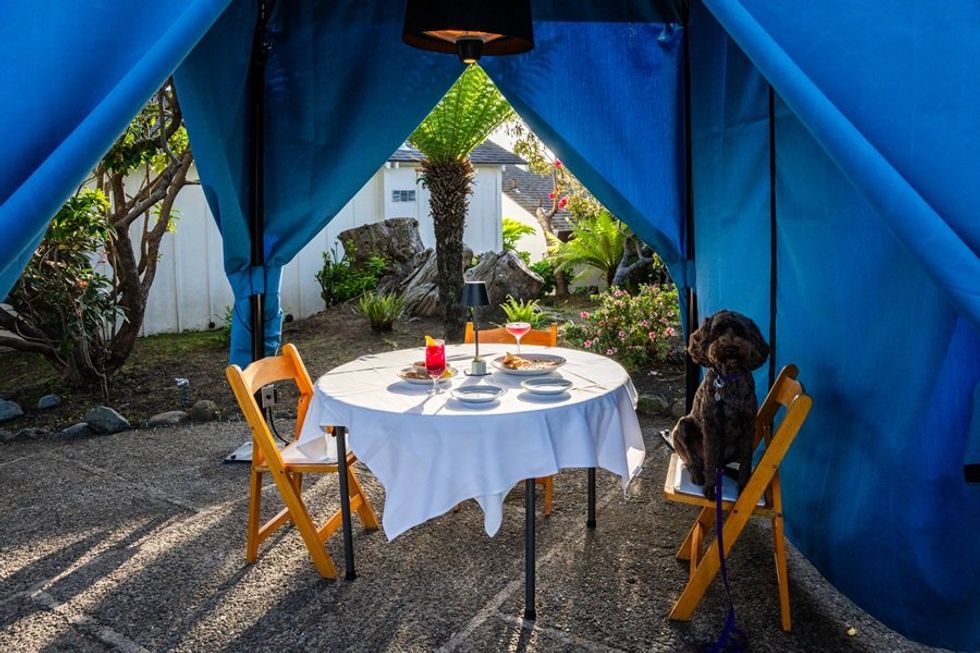 Outdoor dining setup with two chairs, tableware, and a dog under a blue canopy.