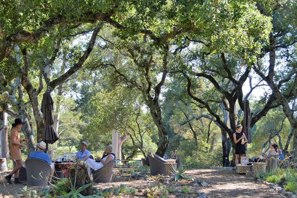People relaxing and chatting under large trees in an outdoor garden setting.