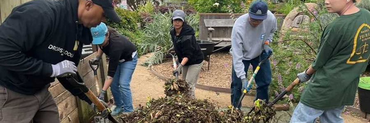 people shoveling compost